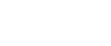 alien-solutions-freight-logo